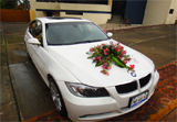 BMW Modelo 2008